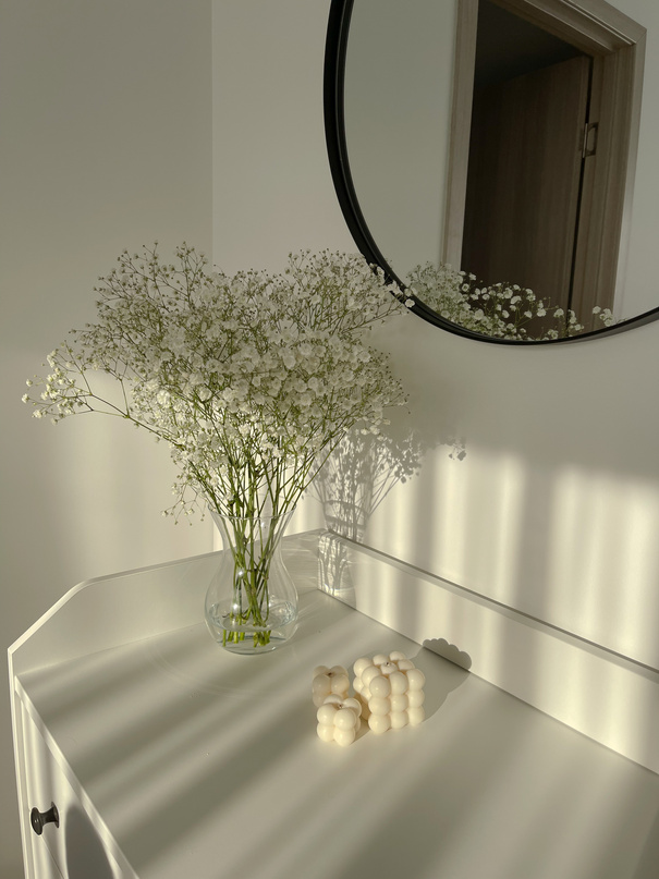 Plant in Vase on Dresser