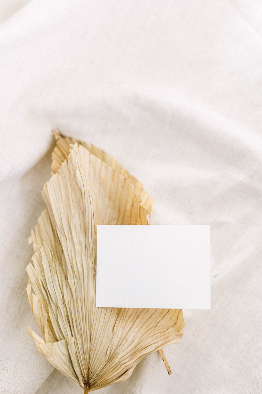 Dried leaves with Neutral Minimalist Business Card